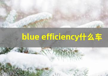 blue efficiency什么车